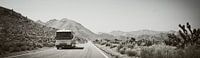 Roadtrip through the USA