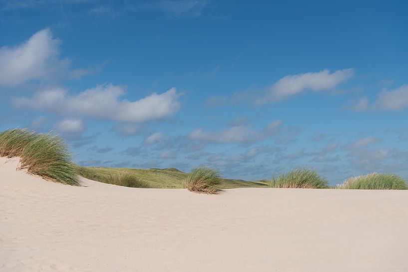 Stille in den Dünen von Rob Donders Beeldende kunst