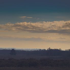 Ermelosche Heide sur Rianne Hazeleger