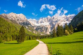 Path through the Zgornje Jezersko valley  during springtime by Sjoerd van der Wal Photography