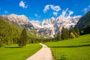 Chemin dans la vallée de Zgornje Jezersko au printemps sur Sjoerd van der Wal Photographie