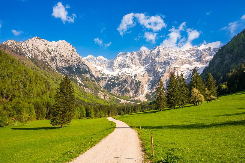 Chemin dans la vallée de Zgornje Jezersko au printemps par Sjoerd van der Wal Photographie