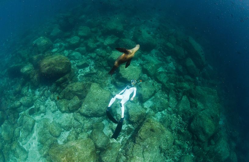 One with a sealion von Joost van Uffelen