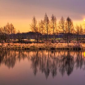 Daybreak with blue sky and forest edge reflected in a lake_1 by Tony Vingerhoets