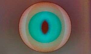 Enso, moderne japanische Herbst Abstraktion