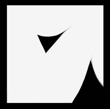 Abstract naakt van Jon Vismans