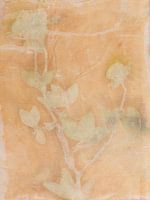 Ecoprint of clover