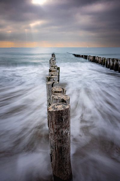 Moments privilégiés. par Robby's fotografie