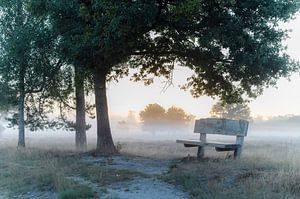 Leersumse veld Teil 21
