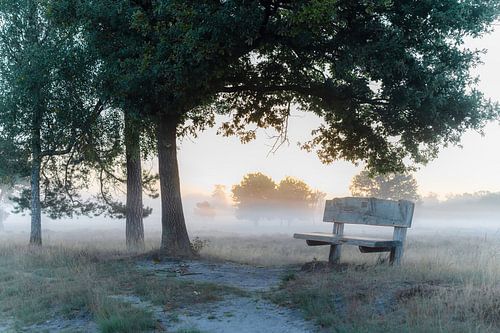 Leersumse veld part 21