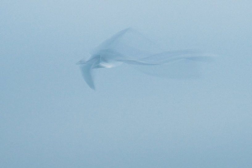 ICM - long exposure bird 2 by Erik Reijnders