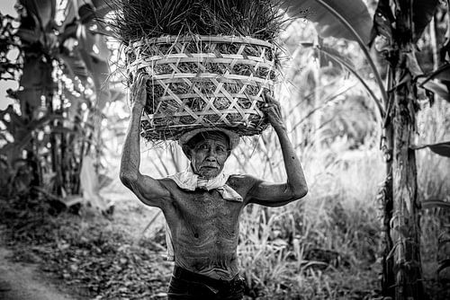 Portret Indonesisch man