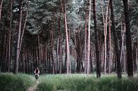 Lonely cyclist in pine forest by Ellen van Drunen thumbnail
