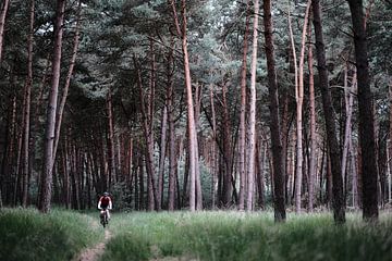 Lonely cyclist in pine forest by Ellen van Drunen