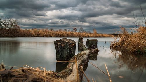 Stever van Sven Löbbert