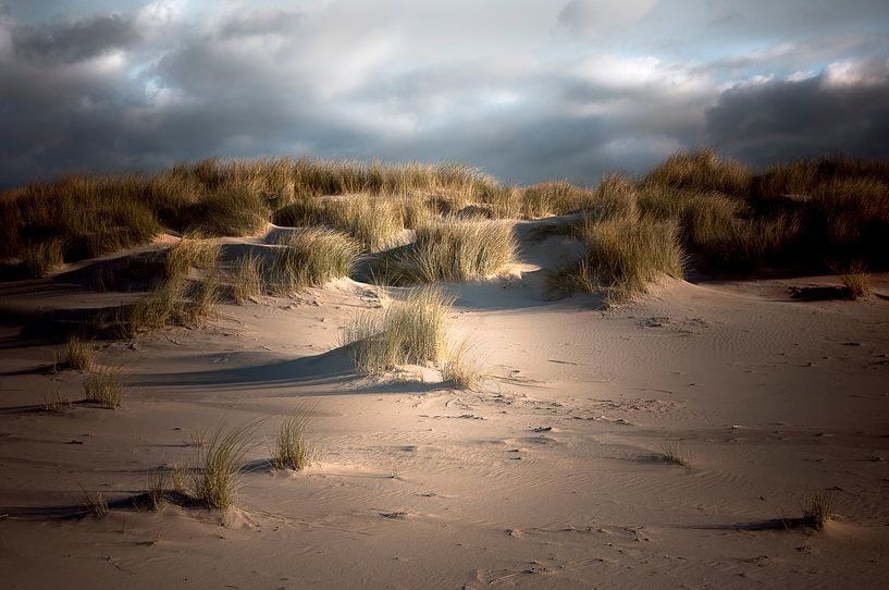 Dune Winds von Sonja Pixels