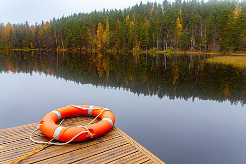 Landschap in herfst met reddingsboei bij meer en bos in Finland
