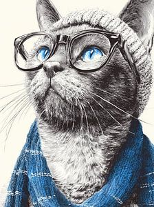 Hipster Cat 14