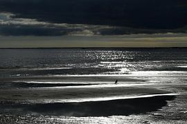 BALTIKUM 2 von Miroslav Ptacek