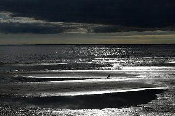 BALTIC STATES 2 by Miroslav Ptacek