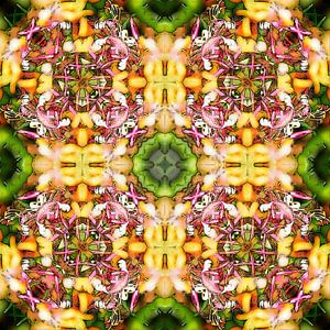 Honeysuckle Square