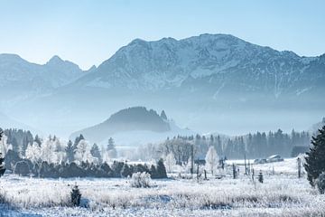 IJzige ochtend in de Allgäu van Leo Schindzielorz