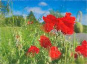poppy by Rene van Heerdt thumbnail