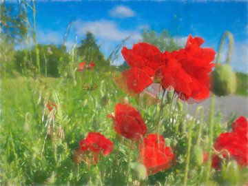 coquelicot sur Rene van Heerdt