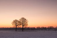 Zonsopkomst in een winterlandschap von Art Wittingen Miniaturansicht