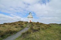 Le phare de Waipapa sur la côte de la Nouvelle-Zélande