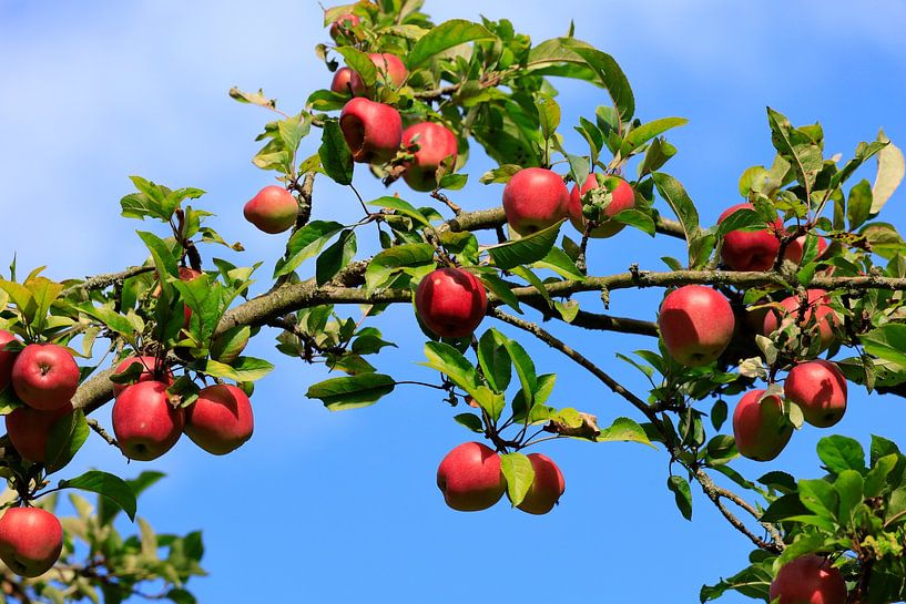 Spätsommer von Thomas Jäger