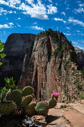 Angels Landing, Utah