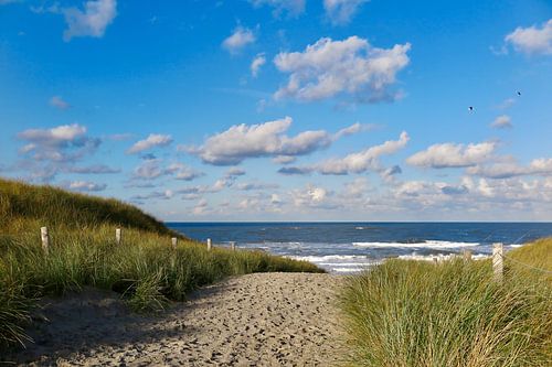 l'entrée de la plage