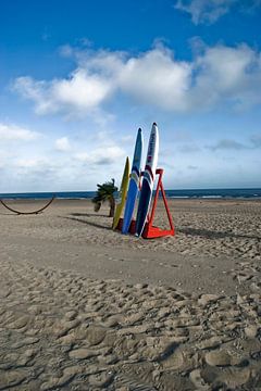 Foto van het strand met surfplanken. van Therese Brals