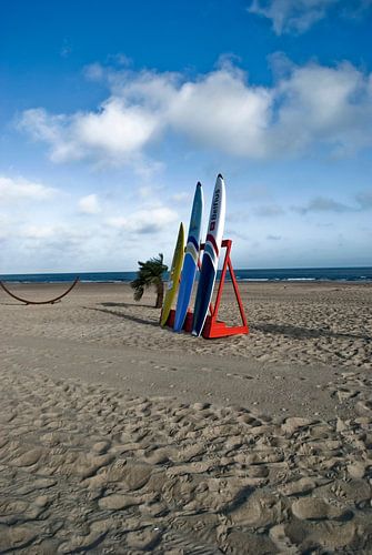 Photo of the beach with surfboards.