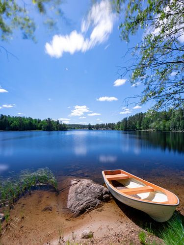 roeiboot bij een zweeds meer