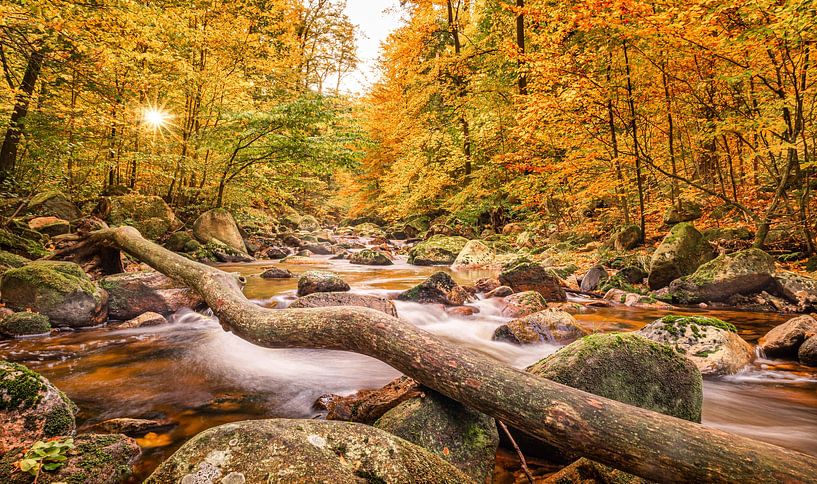 La vallée de l'Ilse en automne par Steffen Henze
