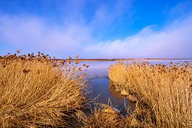 BADEN-WÜRTTEMBERG : BAD BUCHAU - FEDERSEE sur Photoart-Naegele
