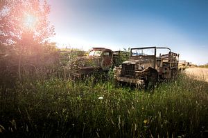 Leger Trucks In Het Veld van Michel Nicolaes