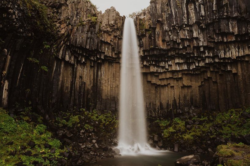 Svartifoss, Island von Fenna Duin-Huizing