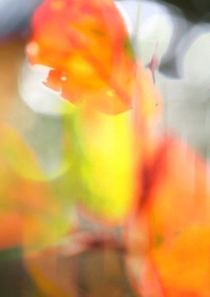 indian summer by fantasina