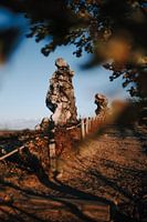 View of a rock of the Devil's Wall in the Harz Mountains