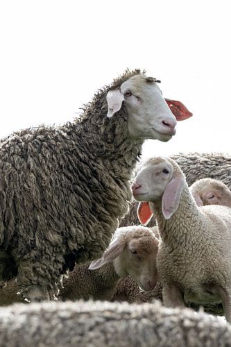 Alleinerziehende Mutter