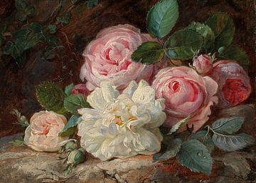 White and Pink Roses van Antonije Lazovic