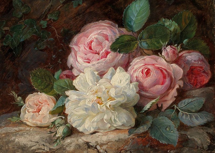 White and Pink Roses by Antonije Lazovic