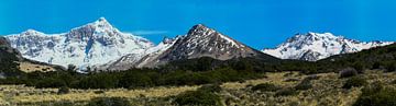 Panorama van de Patagonische Andes van Christian Peters