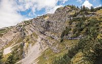 Die rauen Berge