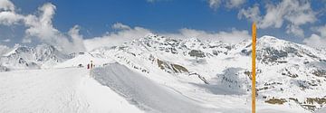 Skigebied Serfaus van Dirk Rüter