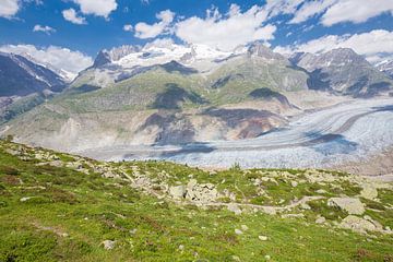 Grote Aletschgletscher gezien vanaf Riederalp van Rob Kints