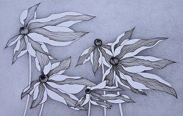 Flowers by Lia Nauta